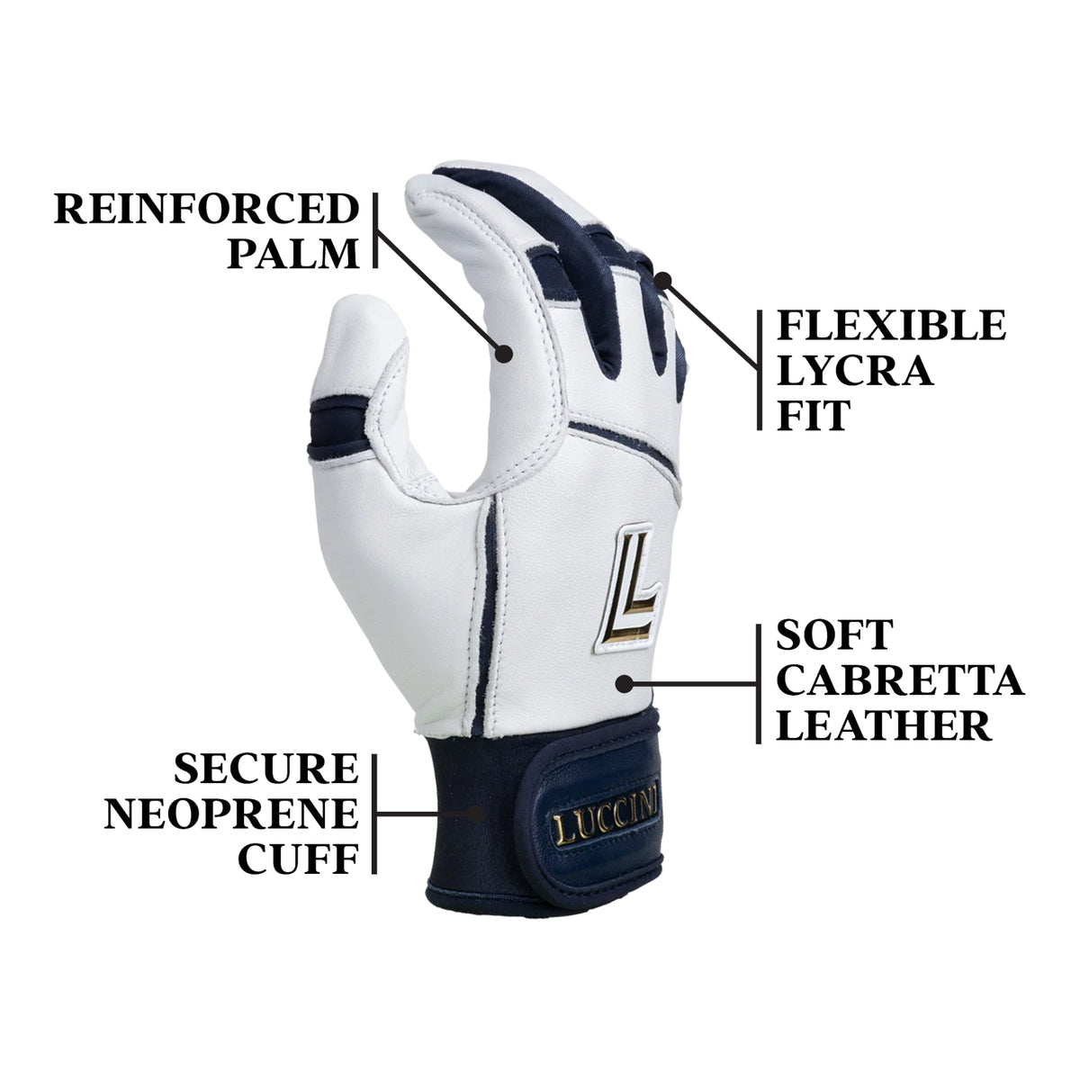 Luccini Navy Blue Glove with descriptors image