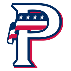 USA Prime Raised 3D Baseball Helmet Decal